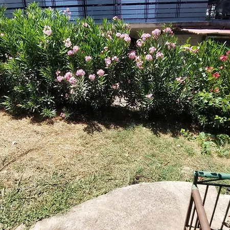 Cute House With Mountain Views Holiday home *