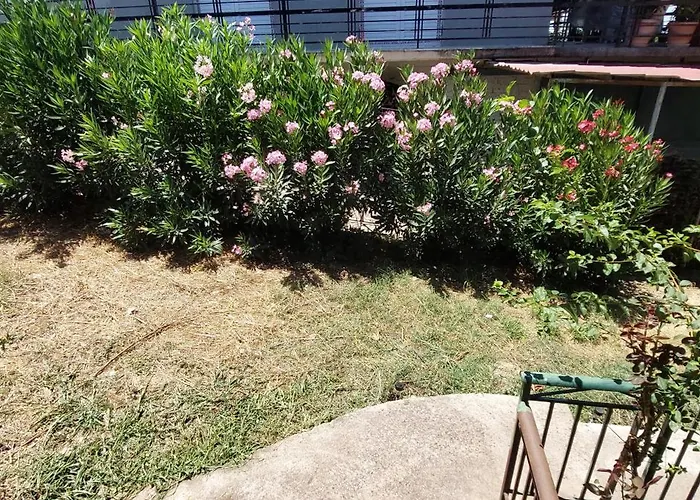 Cute House With Mountain Views Case de vacanță *